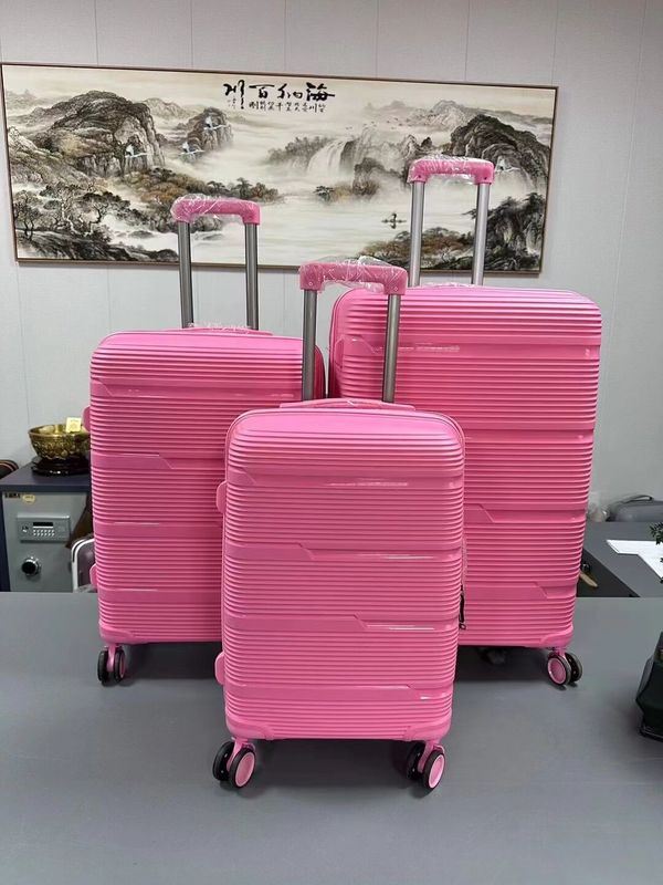 OEM Business Carry-On 20 24 28 pollici PP valigia da viaggio per viaggi e lavoro