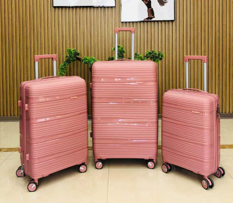 Valigia da viaggio Valigia da consegna Valigia per viaggi all'aria aperta Valigia da bellezza Cassa Pp Valigie