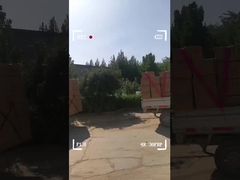 Bagaglio antiumidità per bambini cartoni animati Multiscene con chiusura a cerniera