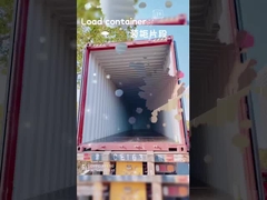 Multicolore Bambini Tirare Lungo valigia 30L Con Maniglia Telescopica